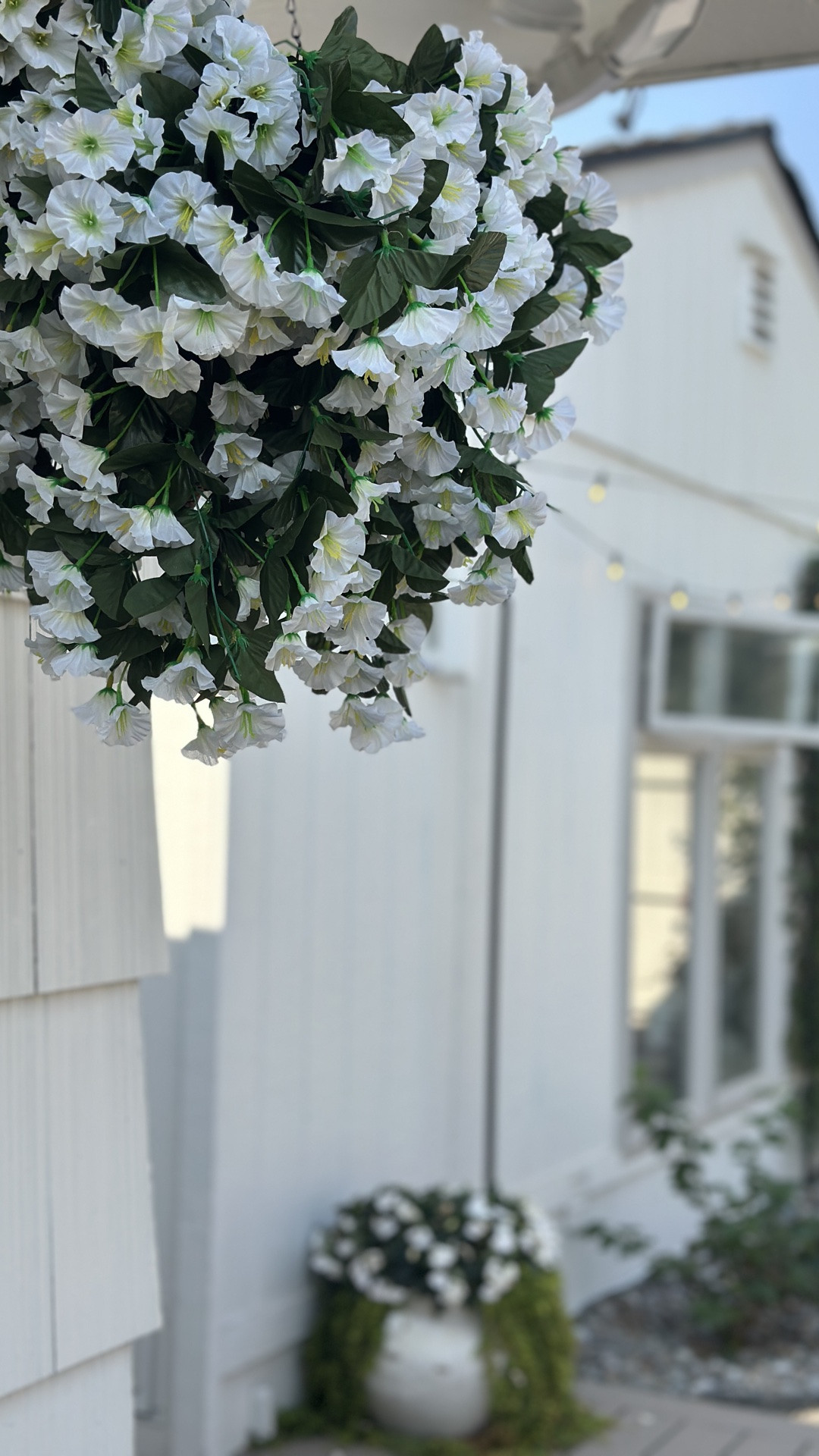 Extending summer!!

#LTKSeasonal #LTKHome