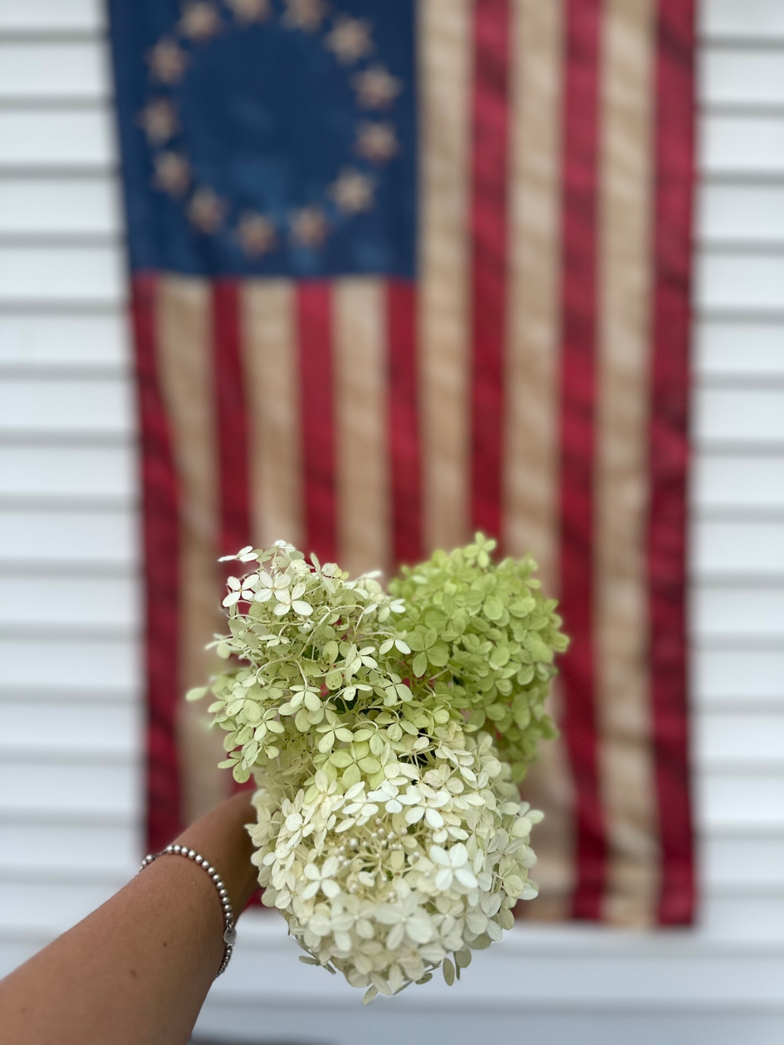 American heritage & hydrangeas 🤍


#LTKFindsUnder100 #LTKHome #LTKFindsUnder50