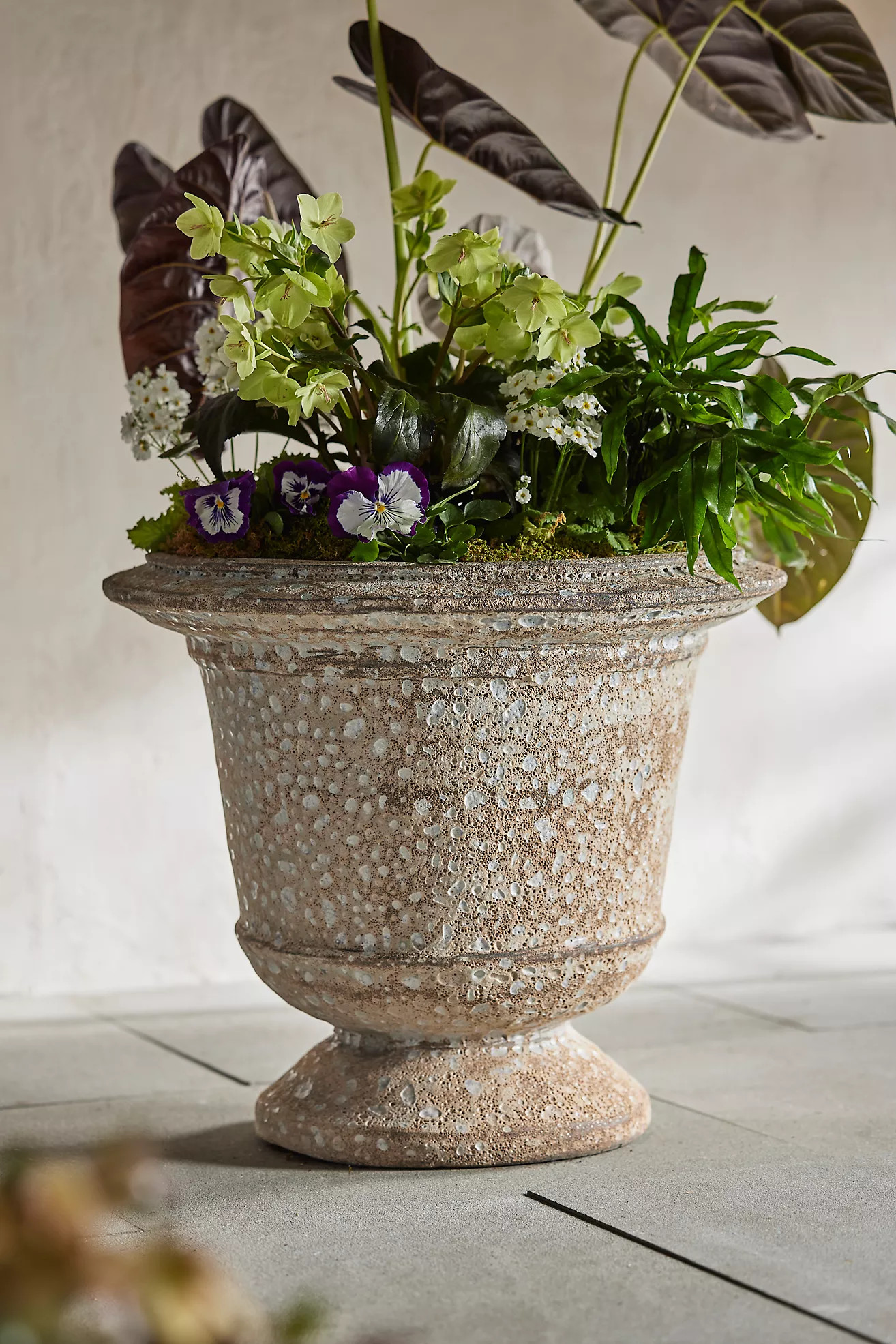 Barnacle Aeros Urn | Terrain