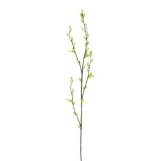 Green Willow Stem by Ashland® | Michaels Stores