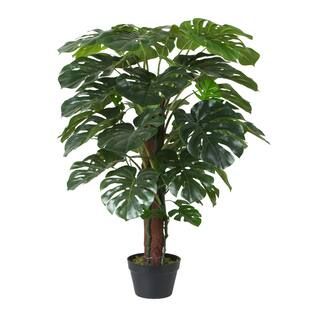 3.5ft. Potted Split Philodendron Tree by Ashland® | Michaels Stores