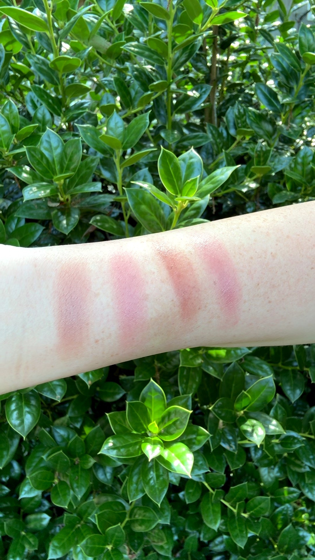 Favorite blonzer swatches

#LTKFindsUnder50 #LTKBeauty #LTKStyleTip