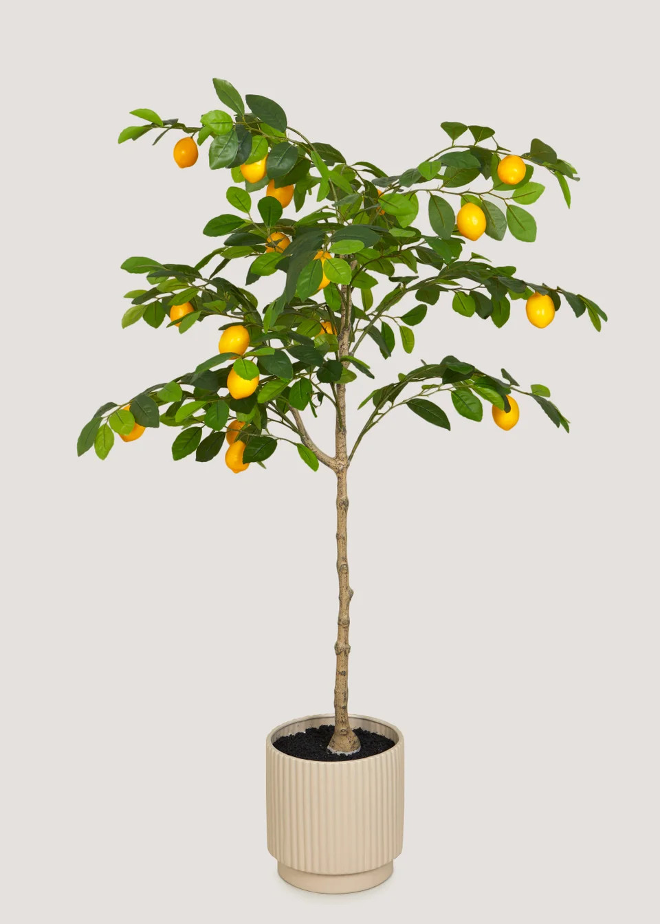 Lemon Tree Outdoor Topiary (120cm) | Matalan (UK)