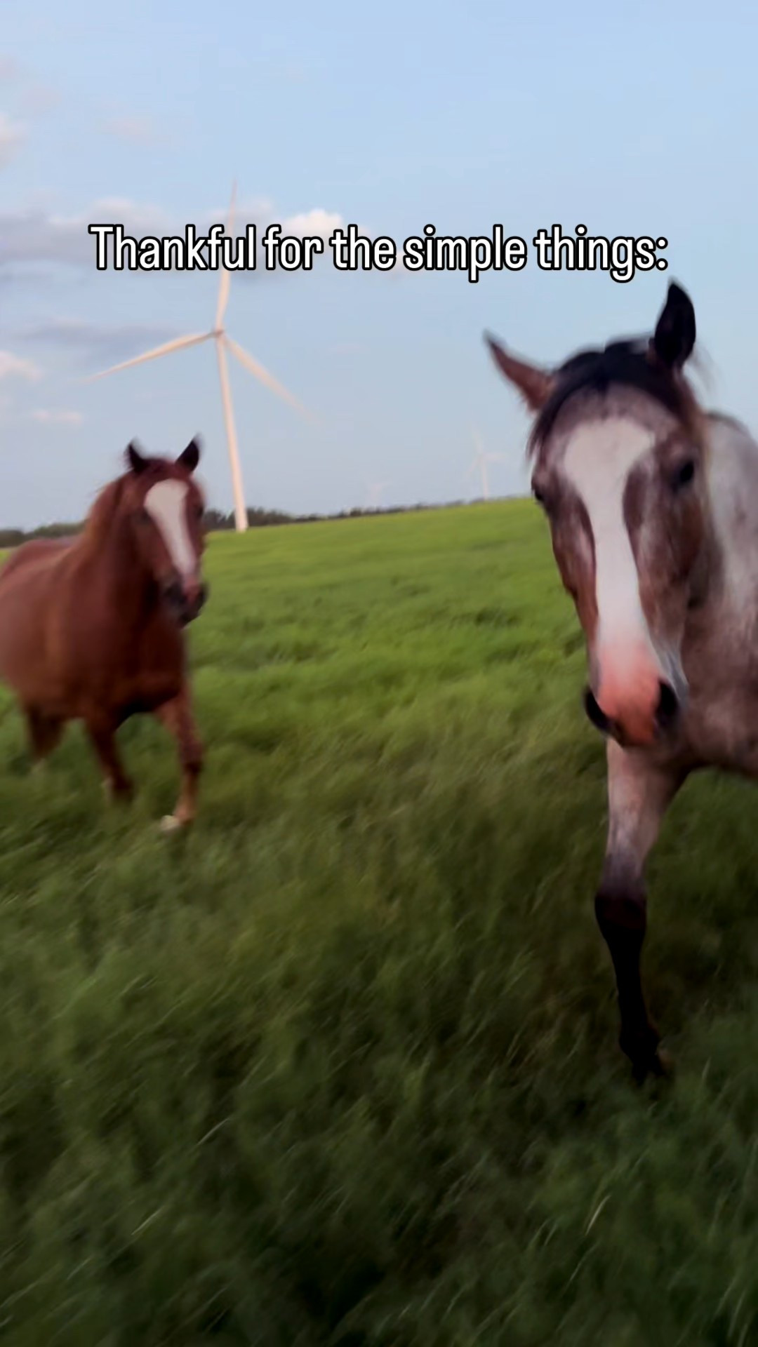 Check out Lone Star Western Decor for the horseshoe hat stand!

#LTKHome #LTKMens #LTKdayinmylife