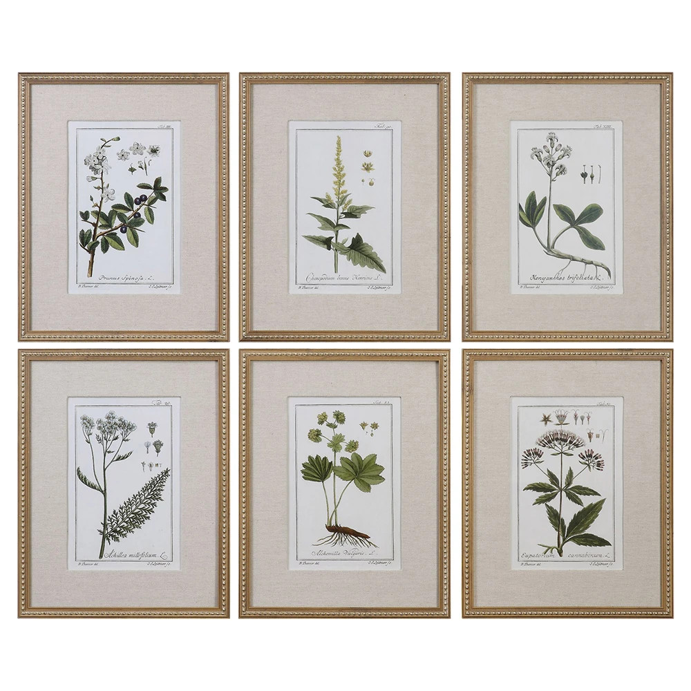 Lunara Traditional Green Botanical Gold Leaf Frame Illustration - Set of 6 | Kathy Kuo Home