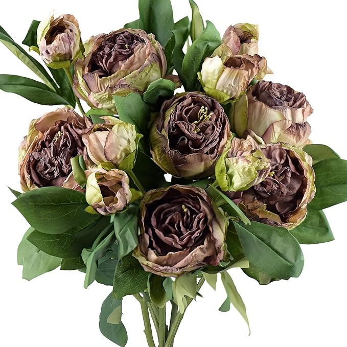 FiveSeasonStuff Vintage Antique Walnut Brown Peonies Artificial Silk Flowers 6 Stems | Amazon (US)