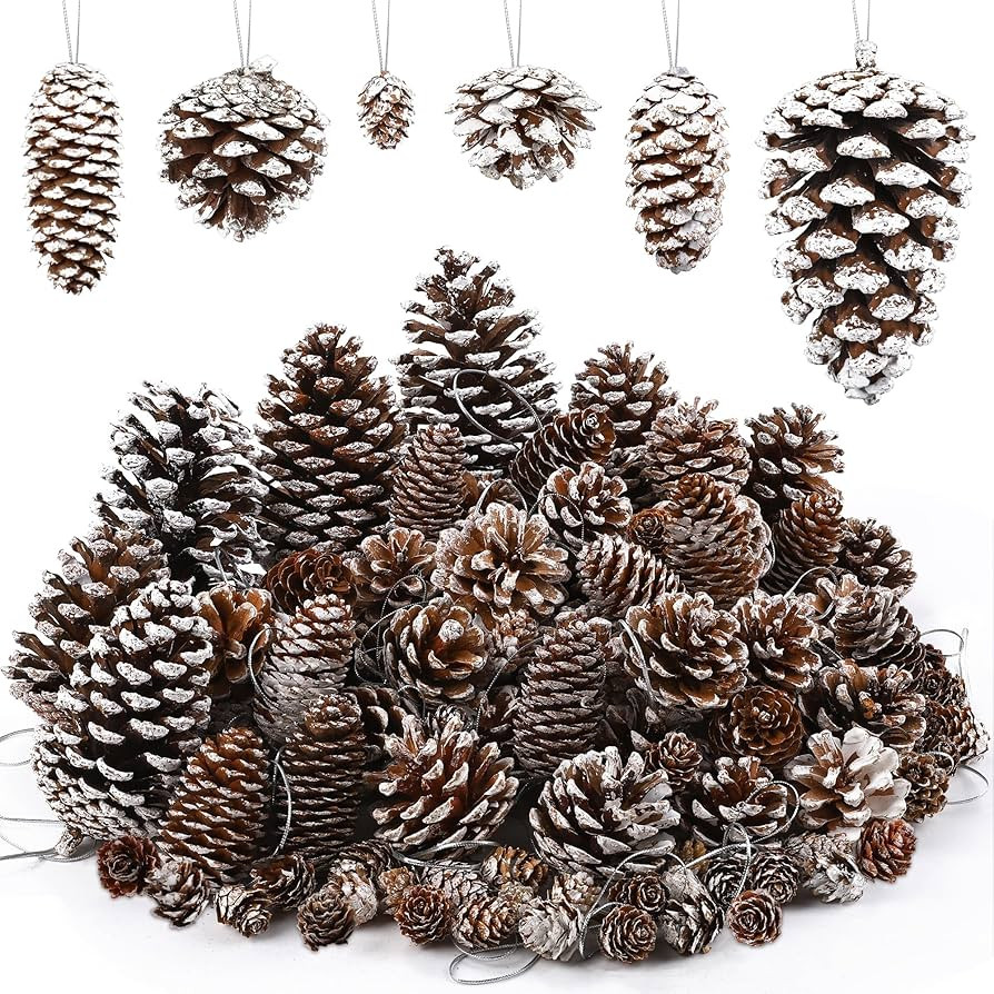 66 Pieces Snow White Christmas Pine Cones Ornaments with String Natural Rustic Pine Cones Bulk As... | Amazon (US)