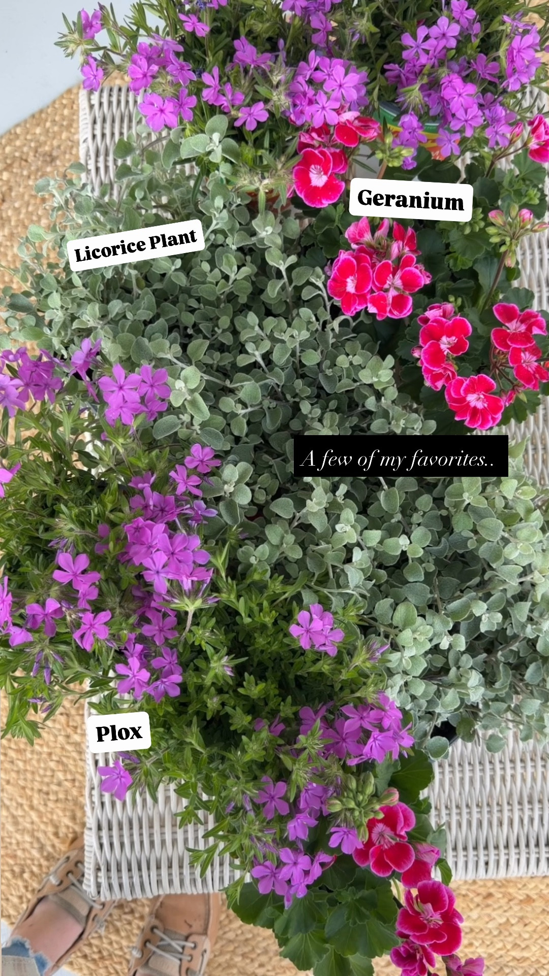 Spring 💕

#LTKSeasonal #LTKmomlife