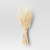 Click for more info about Bleached Leaves Dried Bundle Off White - Threshold™