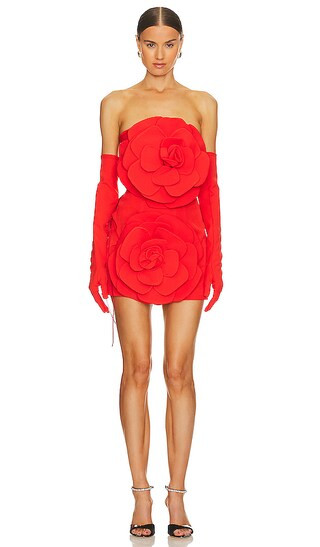 Rose Dress With Gloves in Red | Revolve Clothing (Global)