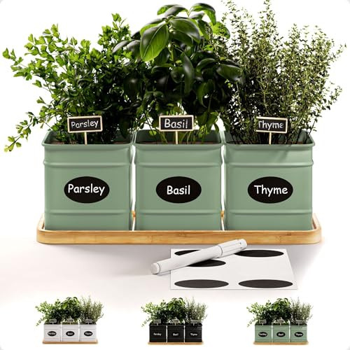 Herb Planter Indoor - 3 Iron Herb Pots with Drainage Holes, Varnished Bamboo Tray, Customizable Labels & Marker Pen - Indoor Herb Garden Planter - 3 Pots for Herbs - Inside Spice Garden - Basil Pot | Amazon (US)