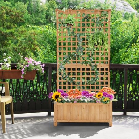 🚨 It’s on sale!! Add beauty of trellising plants with this raised bed planter with trellis. Drainage holes are pre-drilled, so just add your soil, perlite, and plants. 

#LTKhome #LTKGiftGuide #LTKSeasonal