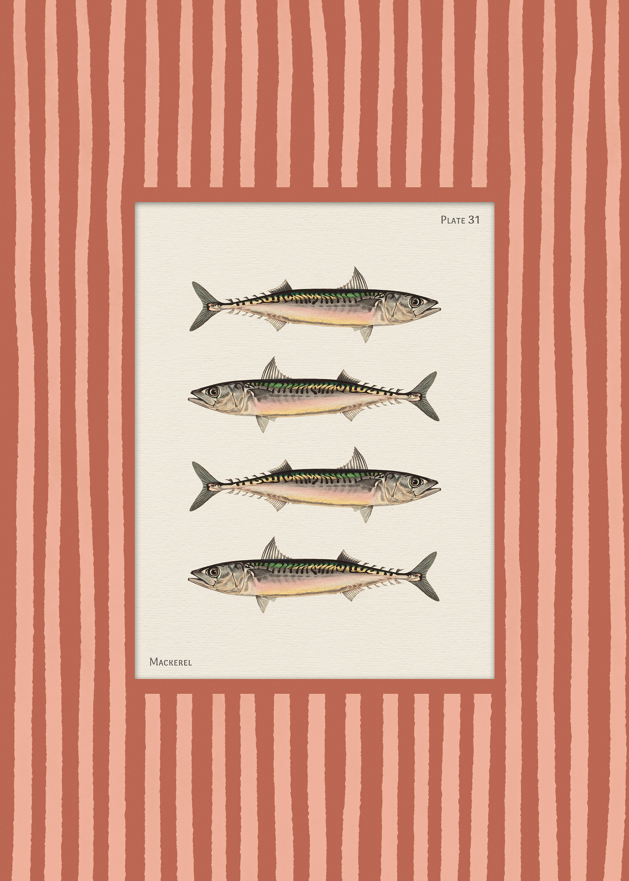 Vintage Mackerel Print | Desenio
