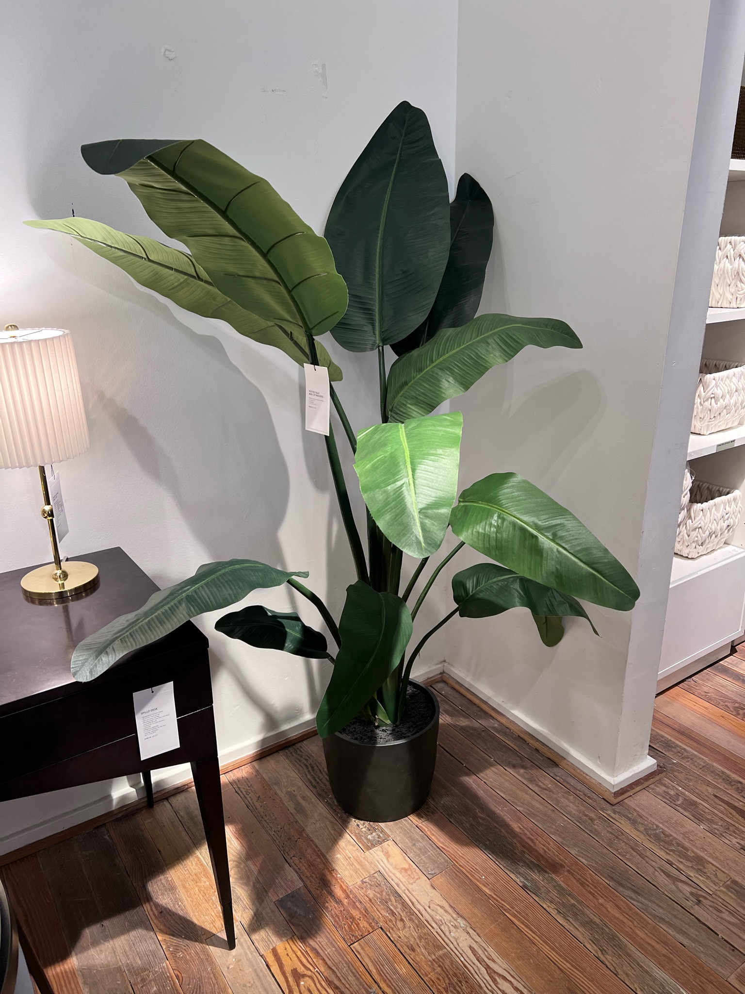 Faux Bird of paradise 

#LTKstyletip #LTKhome #LTKFind