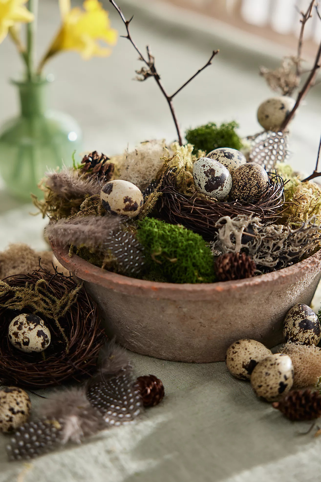 DIY Mossy Nest Kit | Anthropologie (US)