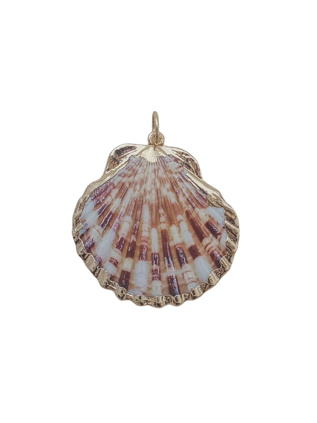 Medium Scallop Shell Charm in Multi | Over The Moon