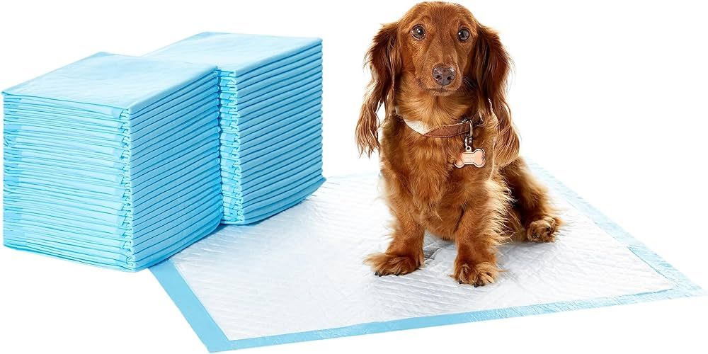 Amazon Basics Dog and Puppy Pee Pads with Leak-Proof Quick-Dry Design for Potty Training, Heavy D... | Amazon (US)