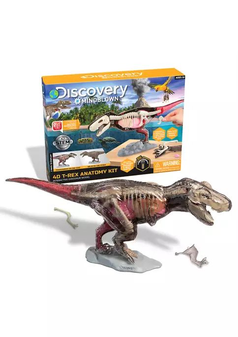 4D T-Rex Dinosaur Anatomy Kit | Belk