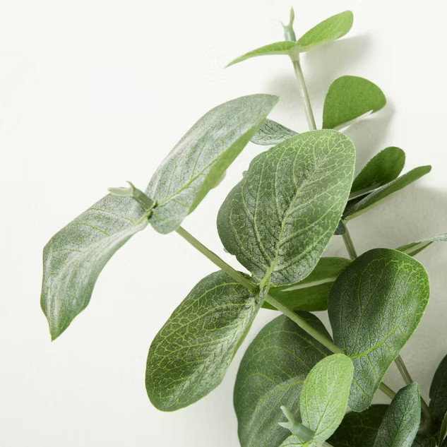 28" Faux Silver Dollar Eucalyptus Stem - Hearth & Hand™ with Magnolia | Target