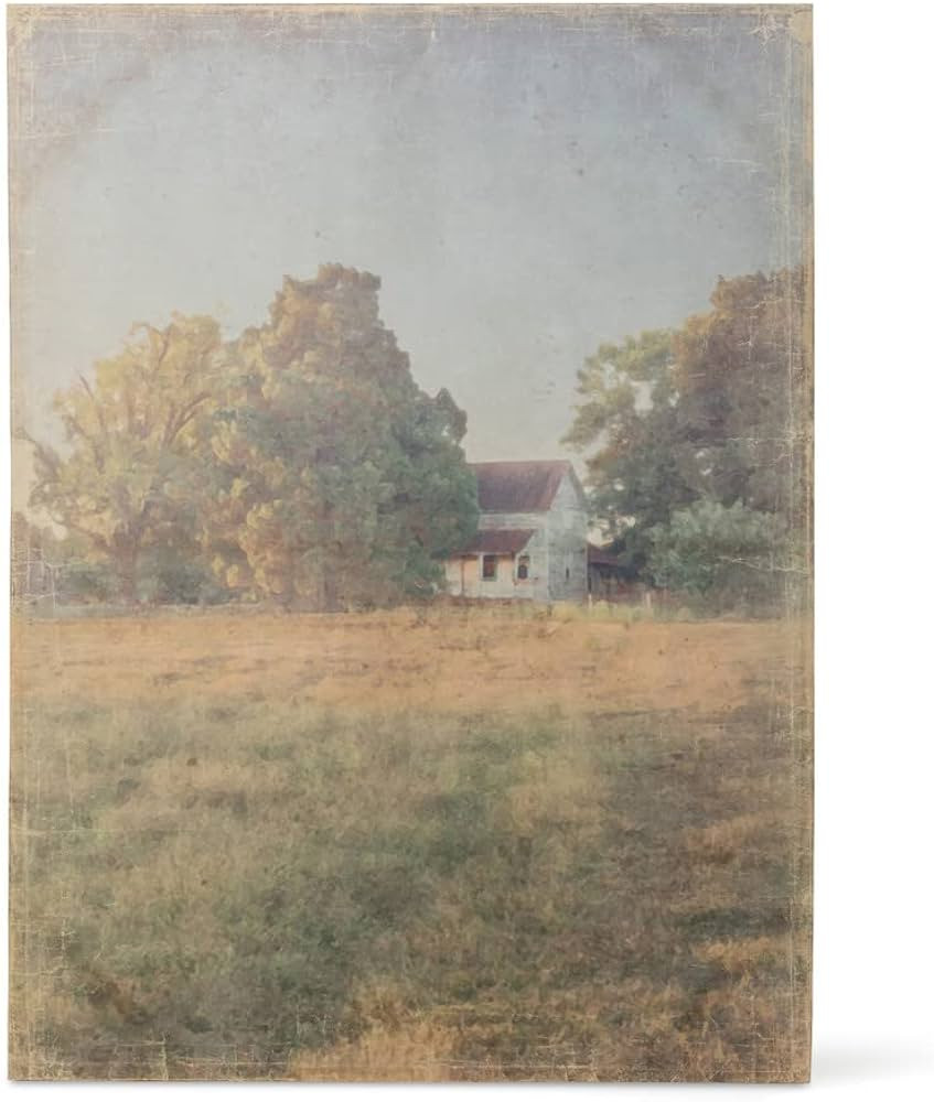 Park Hill Collection EWA00894 Distressed Watercolor Homestead Print on Canvas Wall Art, 49.5-inch... | Amazon (US)