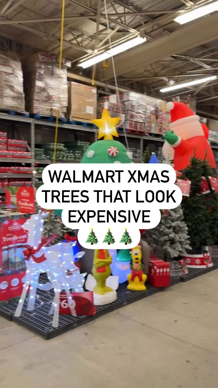 Walmart Christmas trees that look expensive 
First one: Birminghamm
Fuller branches: Bellmont


#LTKHome #LTKHoliday #LTKSaleAlert