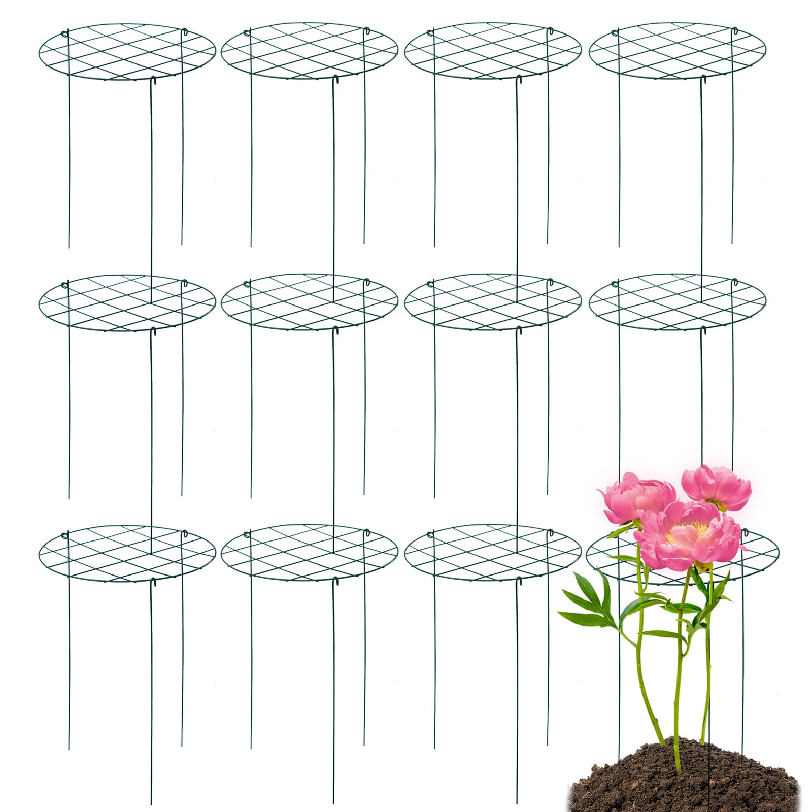 12 Pack Peony Cages and Supports 16 x 24 Inch Grow Through Plant Support Peony Support Ring for O... | Amazon (US)