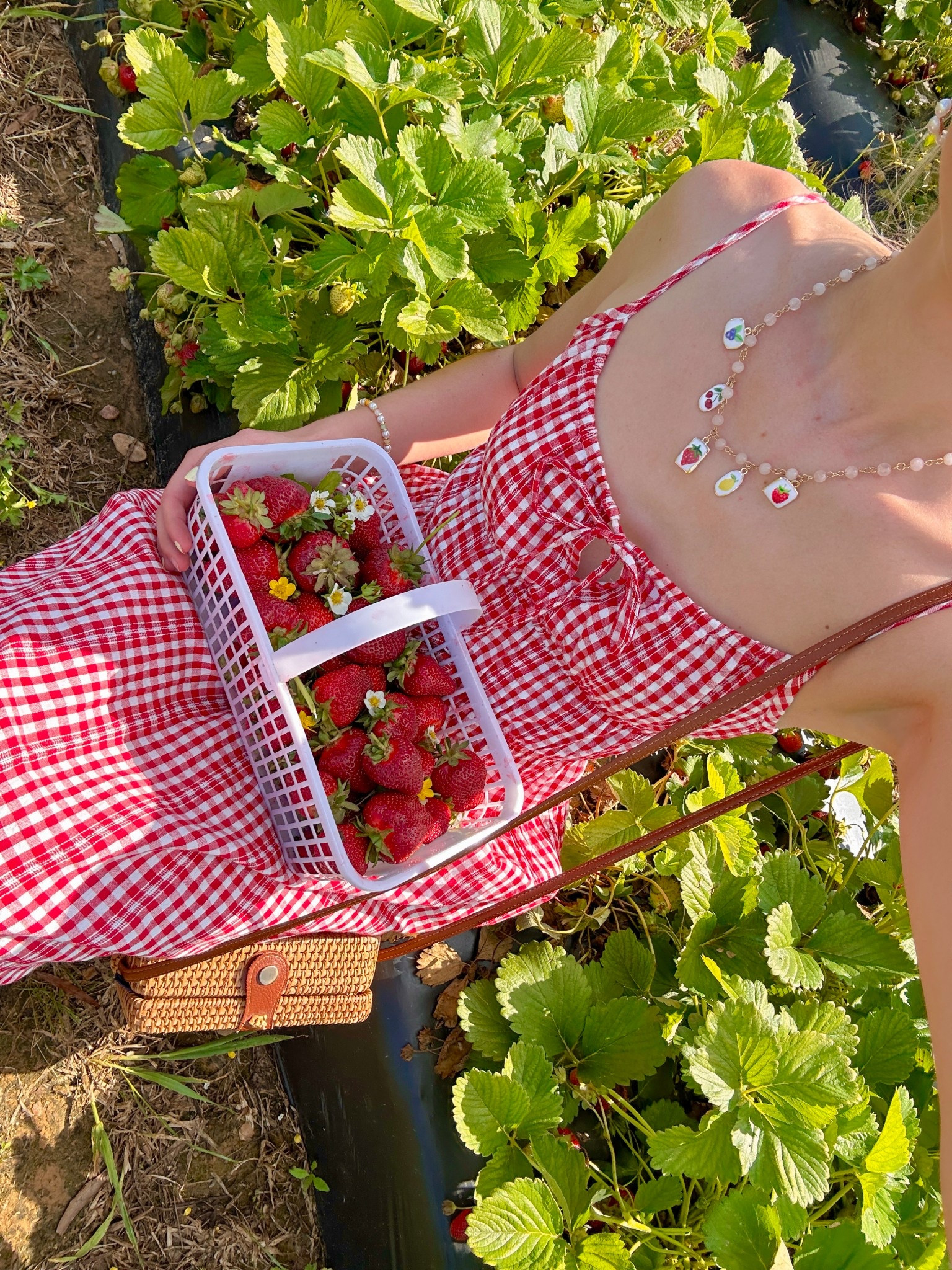 strawberry picking!❤️ I got this dress from Marshall’s but I linked similar ones!

#LTKStyleTip #LTKSeasonal #LTKFindsUnder100