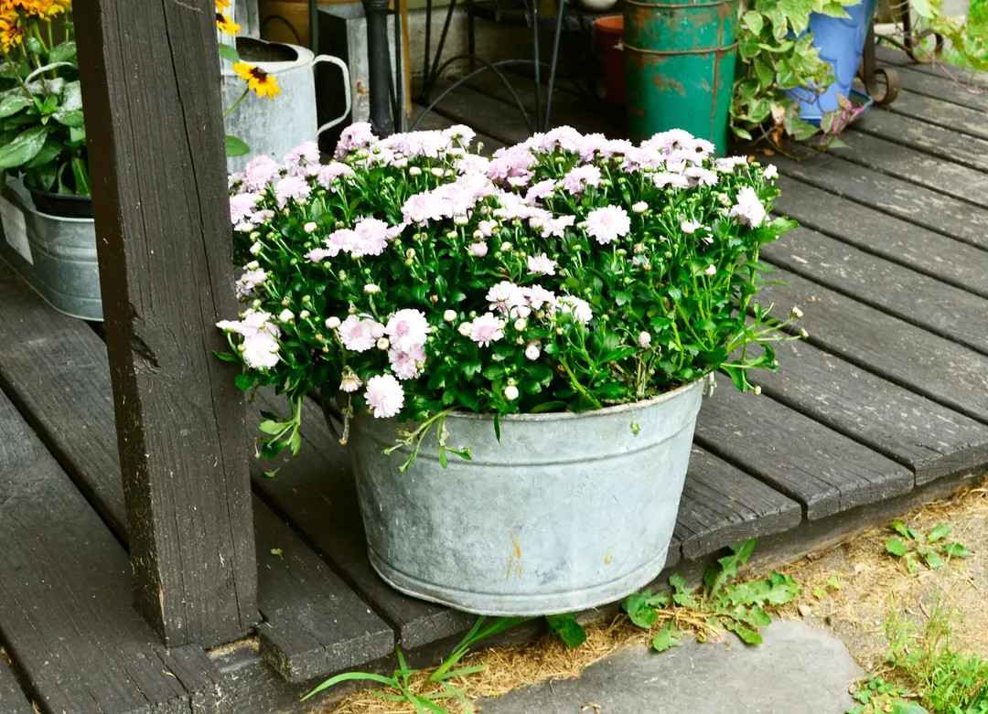 Galvanized Planter Tub, Vintage Round Galvanized Basin, Holey Garden Tub | Etsy (US)