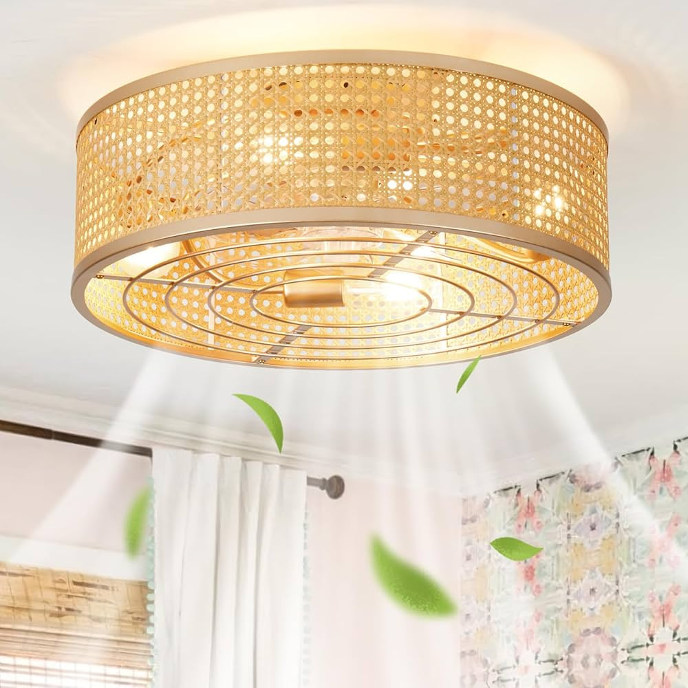 Rattan Boho Ceiling Fan with Light Flush Mount, 20 Inch Gold Caged Ceiling Fans with Light and Re... | Amazon (US)