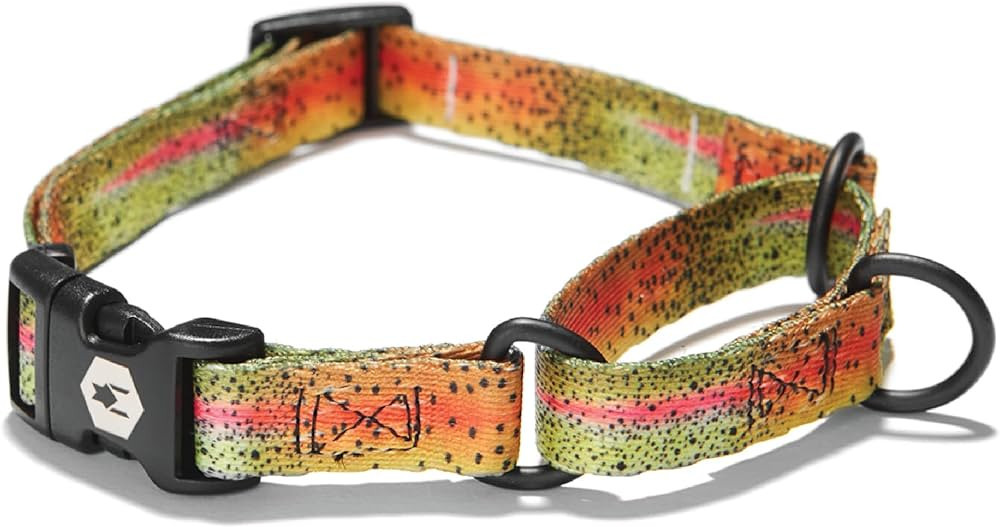 Wolfgang Premium Martingale Dog Collar for Small Medium Large Dogs, Made in USA, CutBow Print, Sm... | Amazon (US)