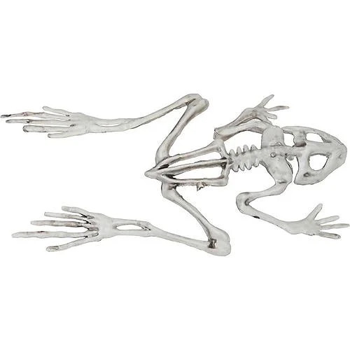 Frog Skeleton Halloween Decoration | Walmart (US)