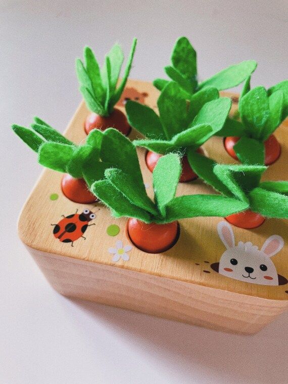 Montessori Wooden Carrot Sorting Puzzle, Preschool Learning Fine Motor Skill for toddlers | Etsy (US)