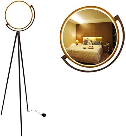 Syrinx Eclipse LED Floor Lamp, Modern Tripod LED Floor Lamp LED Ring Light for Living Rooms, Bedr... | Amazon (US)