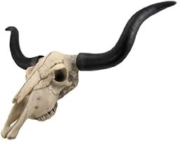 Long Horn Cow Skull Wall Hanging Longhorn Steer | Amazon (US)