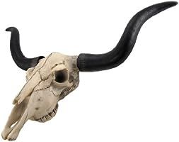 Long Horn Cow Skull Wall Hanging Longhorn Steer | Amazon (US)