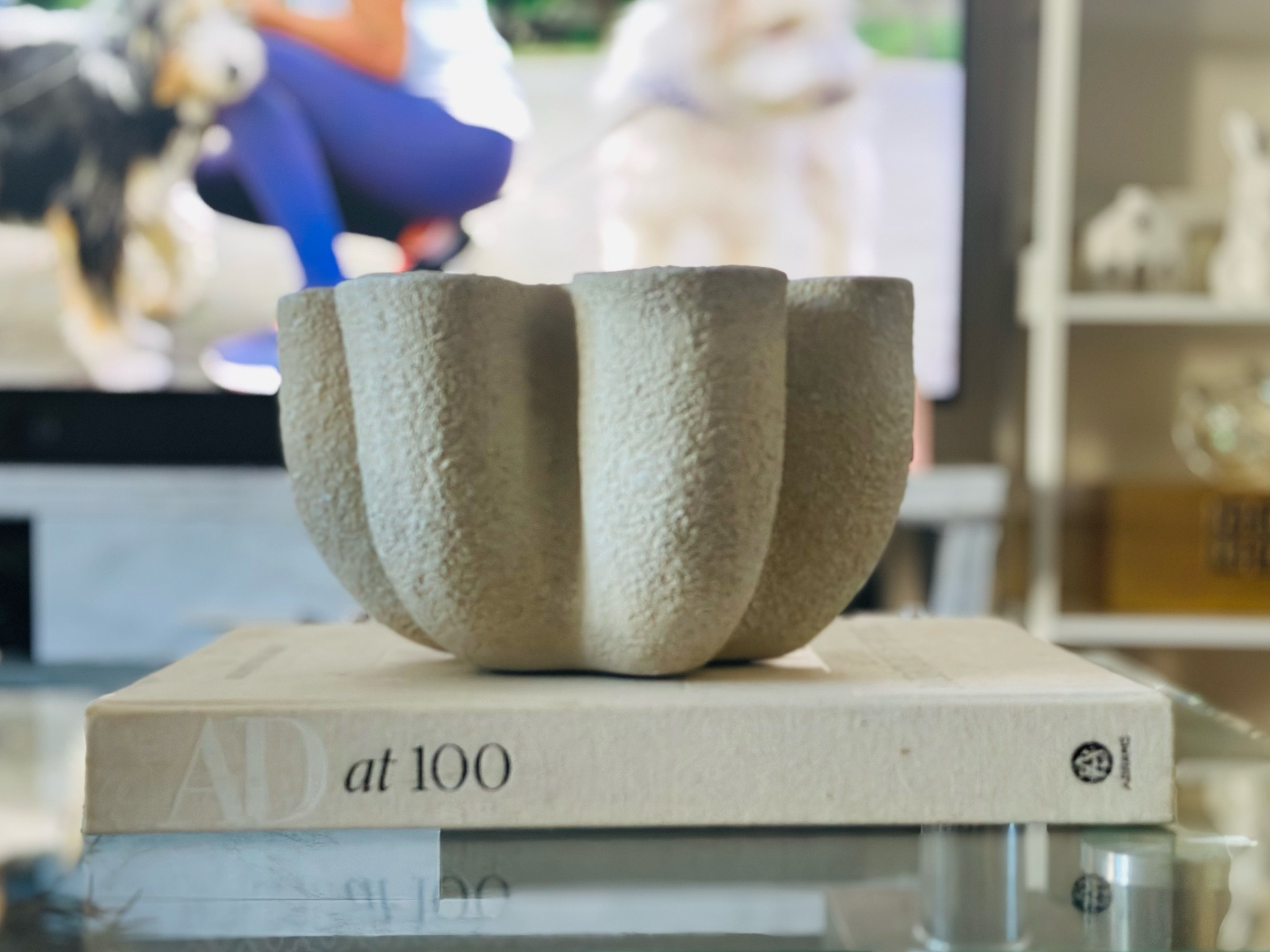 Coffee table decor ✨ Click on the “Shop  HOME collage” collections on my LTK to shop.  Follow me @au_thentically for daily shopping trips and styling tips! Seasonal, home, home decor, decor, kitchen, beauty, fashion, winter,  valentines, spring, Easter, summer, fall!  Have an amazing day. xo💋

#LTKhome #LTKstyletip #LTKfindsunder100