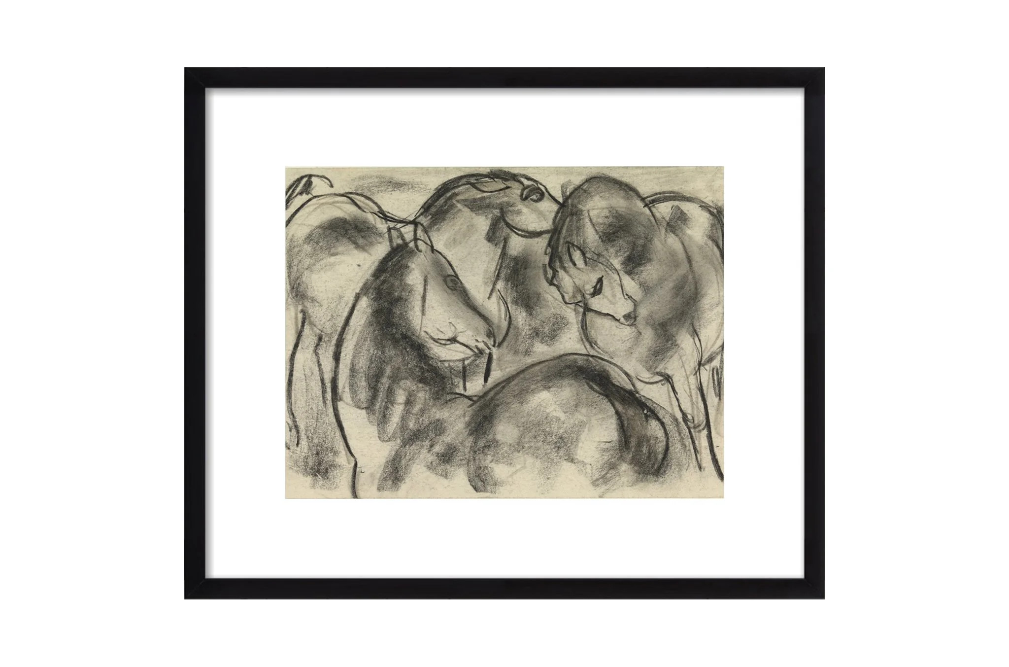 Herd of Horses | North and Finch