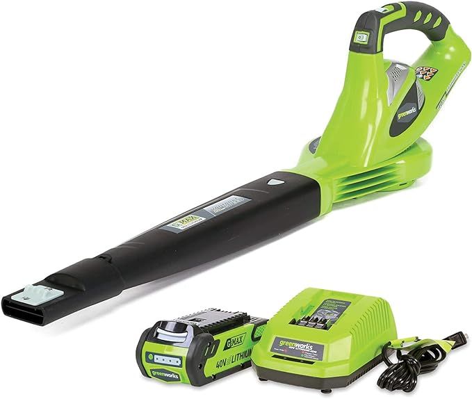 Greenworks 24252 40V 150 MPH Variable Speed Cordless Leaf Blower, 2.0Ah Battery and Charger Inclu... | Amazon (US)