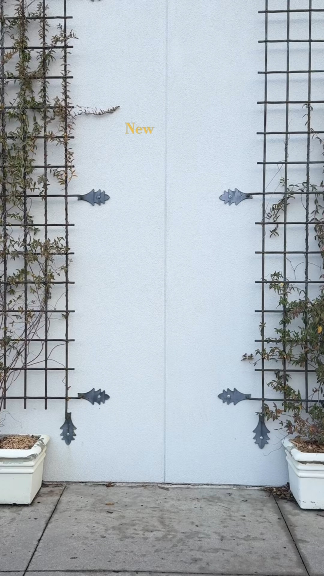 New Year! Same Me! Wearing a 14 in this dress. Size down. 

#LTKStyleTip #LTKPlusSize #LTKMidsize