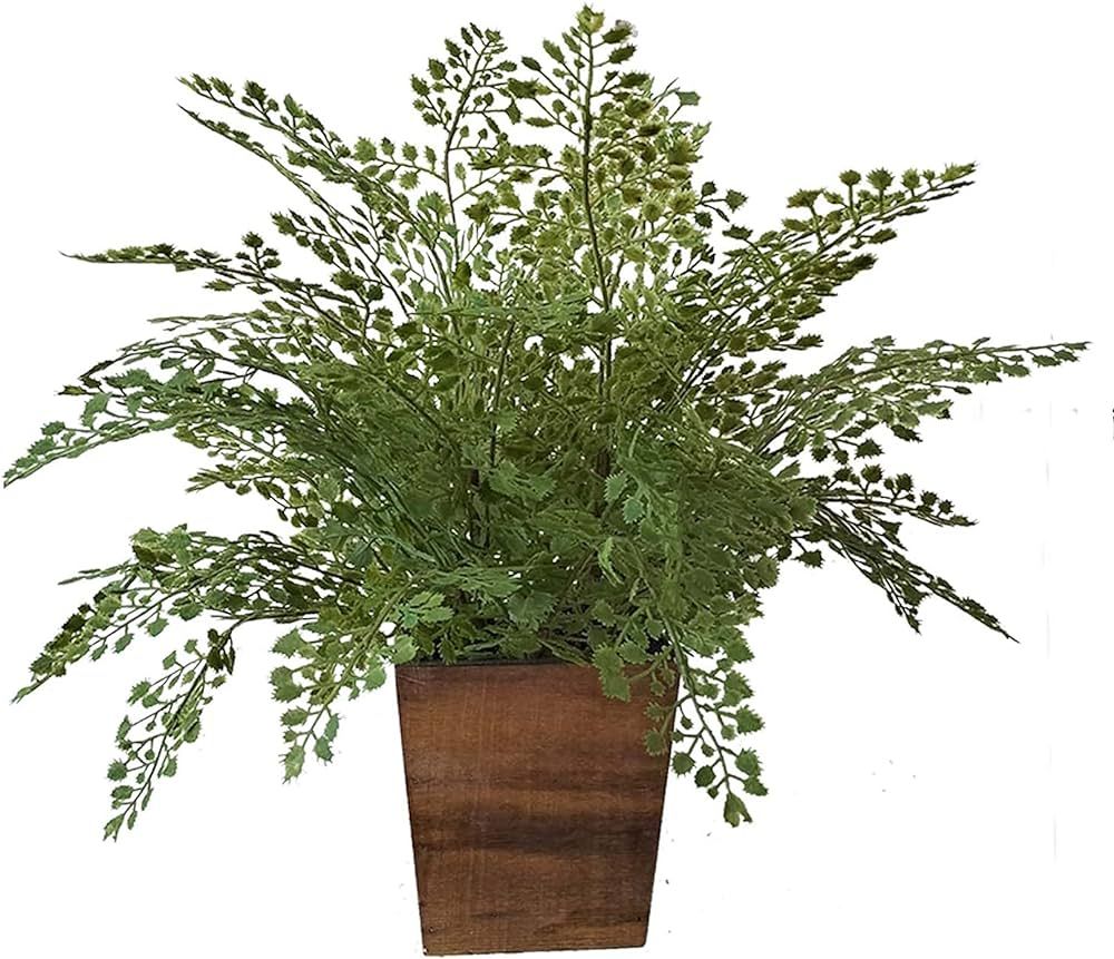 Artificial Plants Maidenhair Fern Leaves Grass in Wood Pot Lifelike-Maidenhair Fern and Faux Bost... | Amazon (US)