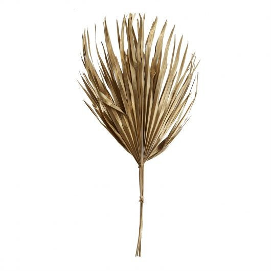 Gold Dried Fan Palm | Megan Molten