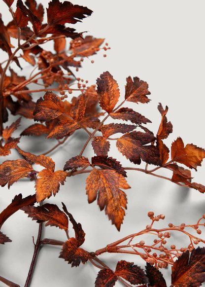 Brown Cimicifuga Leaf Garland | Faux Fall Leaves at Afloral | Afloral