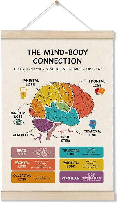 Mental Health Poster Hanger Frame, Brain Anatomy Posters, Therapy Office Decor, School Counselor ... | Amazon (US)