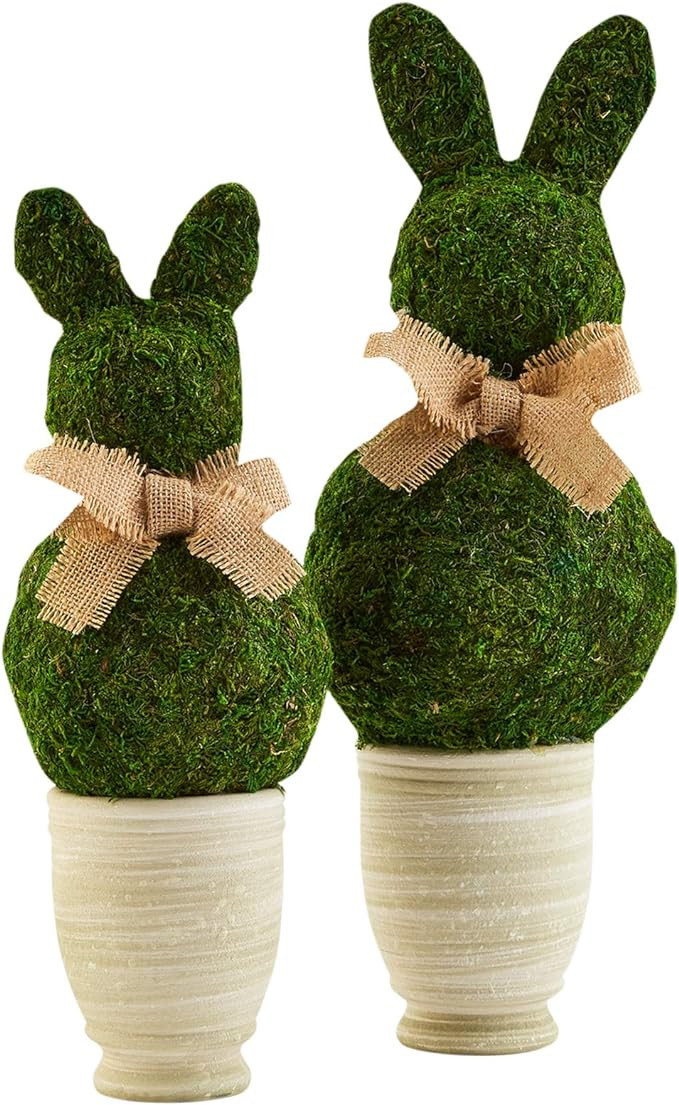 Bunny Topiary, Green Preserved Moss, 13 1/2" x 5" Dia | Amazon (US)