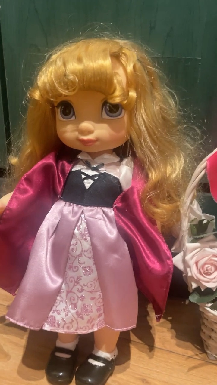 Animator Disney dolls 

#dolls #disney #toys #kids 

#LTKkids #LTKU #LTKfamily