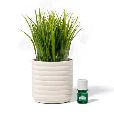 Lifelines Faux Grass Plant Bubble White Diffuser, White/Green, 10H x 5 | Kirkland's Home | Kirklands