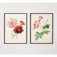 Dahlia & Rose Botanical Print Set, Redouté Giclée Prints, Set Of 2, Floral Wall Art, Vintage French  | Etsy (US)