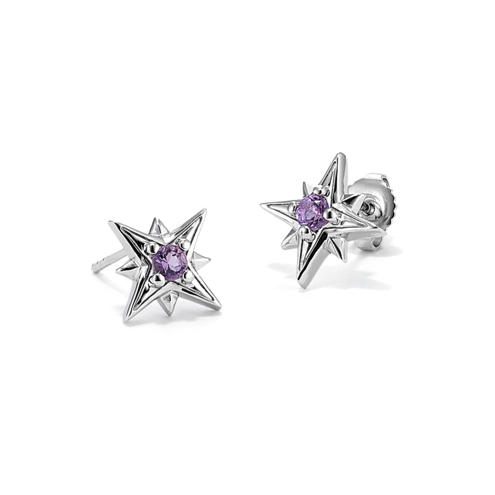 North Star Amethyst Earrings in Sterling Silver | Shane Co