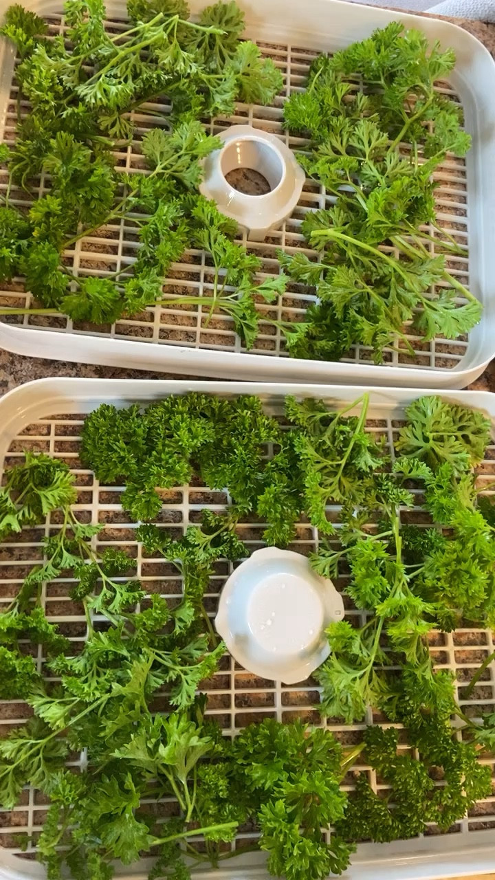 Dehydrator 

#LTKhome