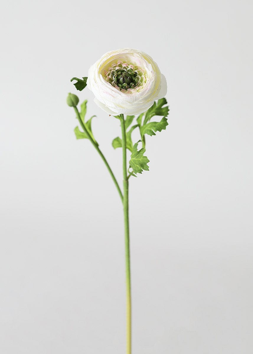 Silk Ranunculus in Cream - 13 | Afloral (US)
